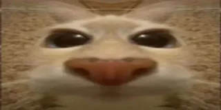 🫥