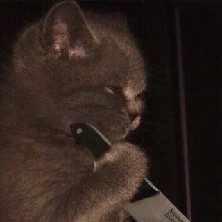 🔪