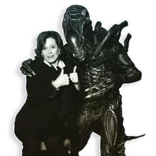 👍