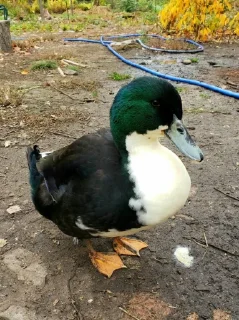 😎