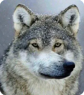 😕