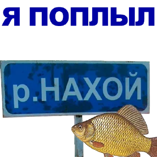 🐠