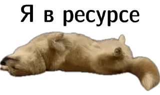 🥲