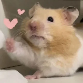 😍