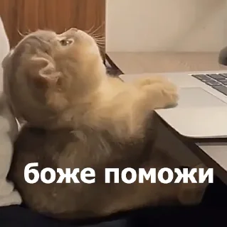 😣