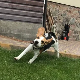 🙃