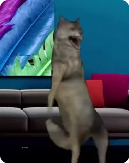🐺