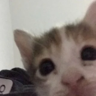 😶