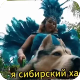 🐶