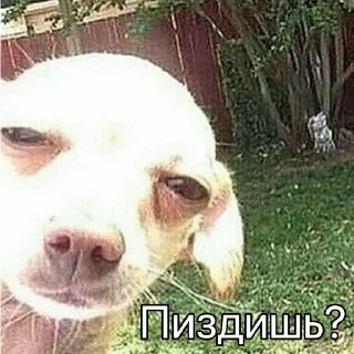 😐