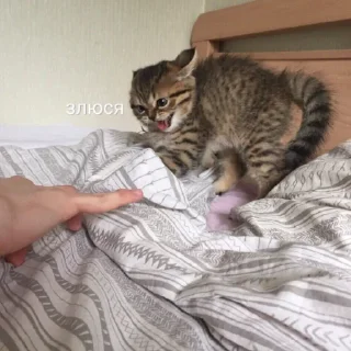 😠