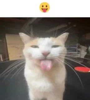 😛