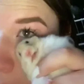 😢