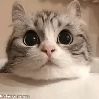🤨