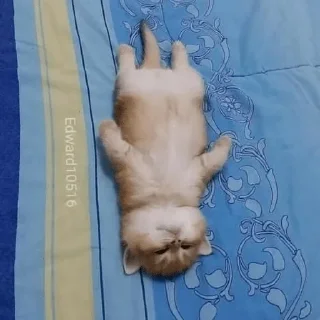 🥺