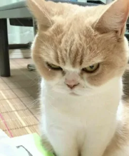😠