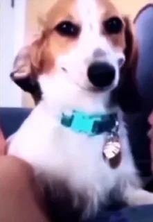 🌟
