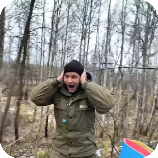 🌲