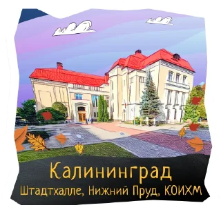 🎻