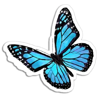 🦋