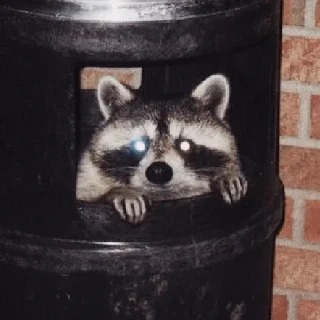 🫥