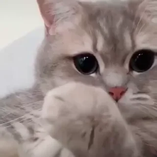 😛