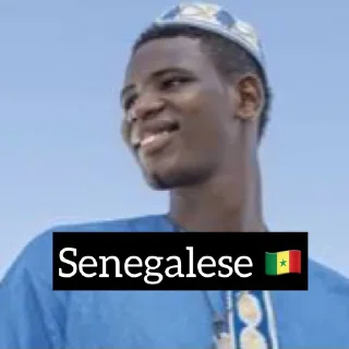 🇸🇳