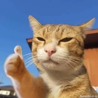 👍
