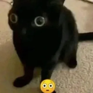 😳