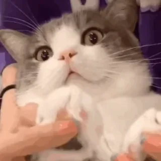 🤗