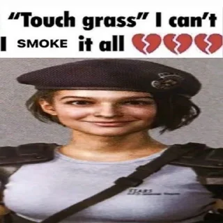 🥪