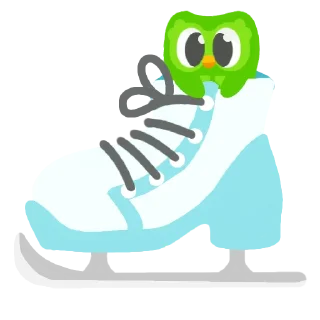 ⛸️