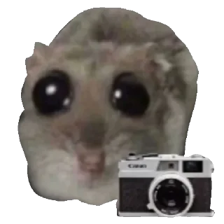 📷