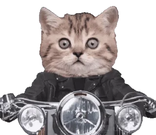 🏍