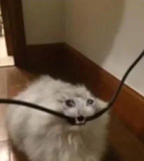 😭