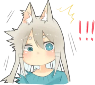 🙀