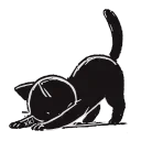 🐈‍⬛