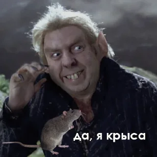 🐁