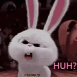 🤨
