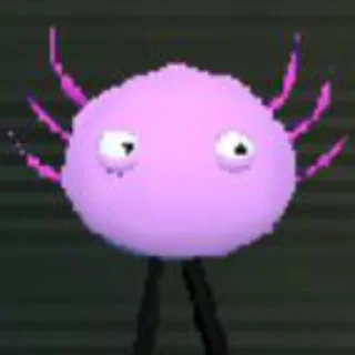KinitoPET