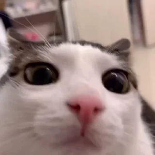 😳