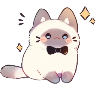 ✨