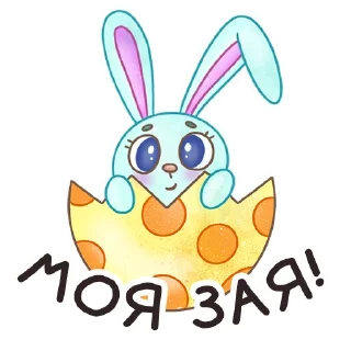 🐰