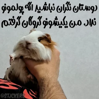 🐹