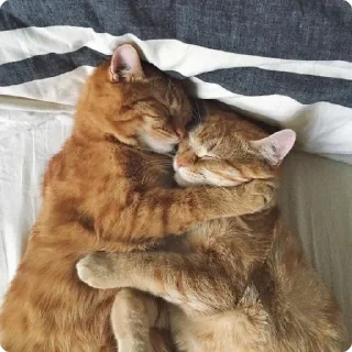 🤗