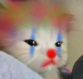 🐱