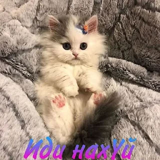 🙂