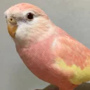 😋