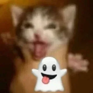 👻