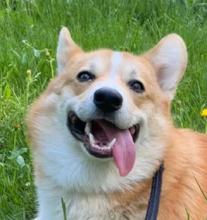 😀